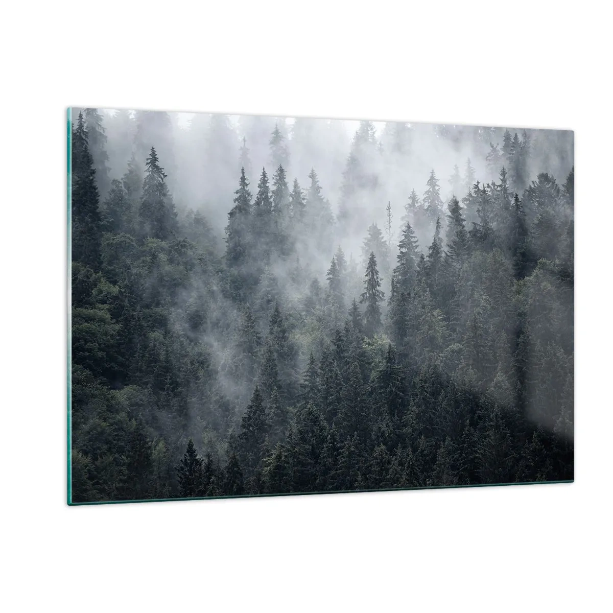 Obraz na skle - Lesné svitania - 120x80 cm