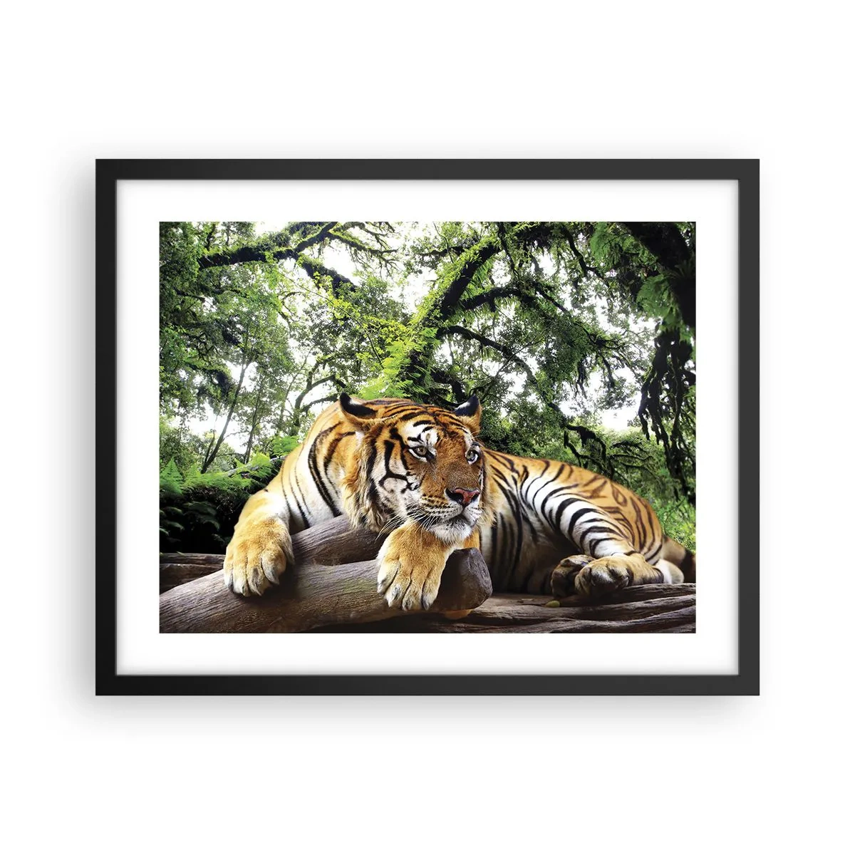 Plagát v čiernom ráme - S úctou - 50x40 cm