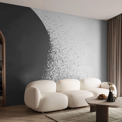 Fototapeta Premium Sand - Pohyb častíc - Abstrakcia, Čierna a biela, Grafika - 250x175 cm