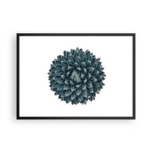Plagát v čiernom ráme - Hviezda púšte - 70x50 cm