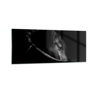 Obraz na skle - Čierny knieža - 100x40 cm