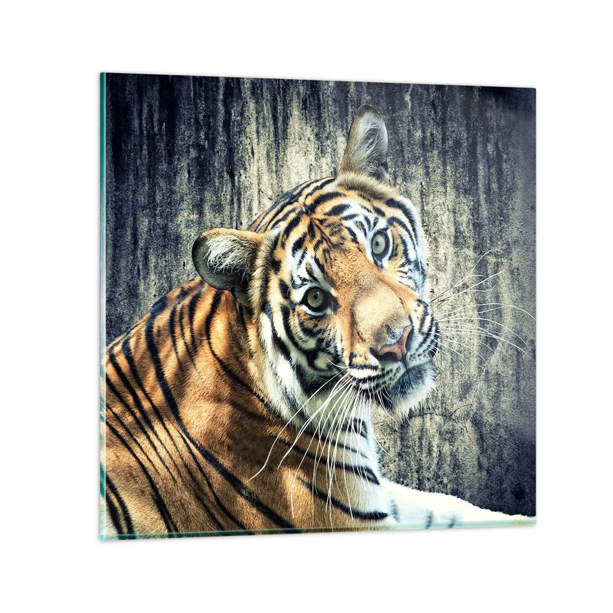 Obraz na skle - Portrét v prameňoch svetla - 70x70 cm