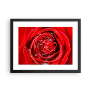 Plagát v čiernom ráme - V kvapkách rosy - 40x30 cm