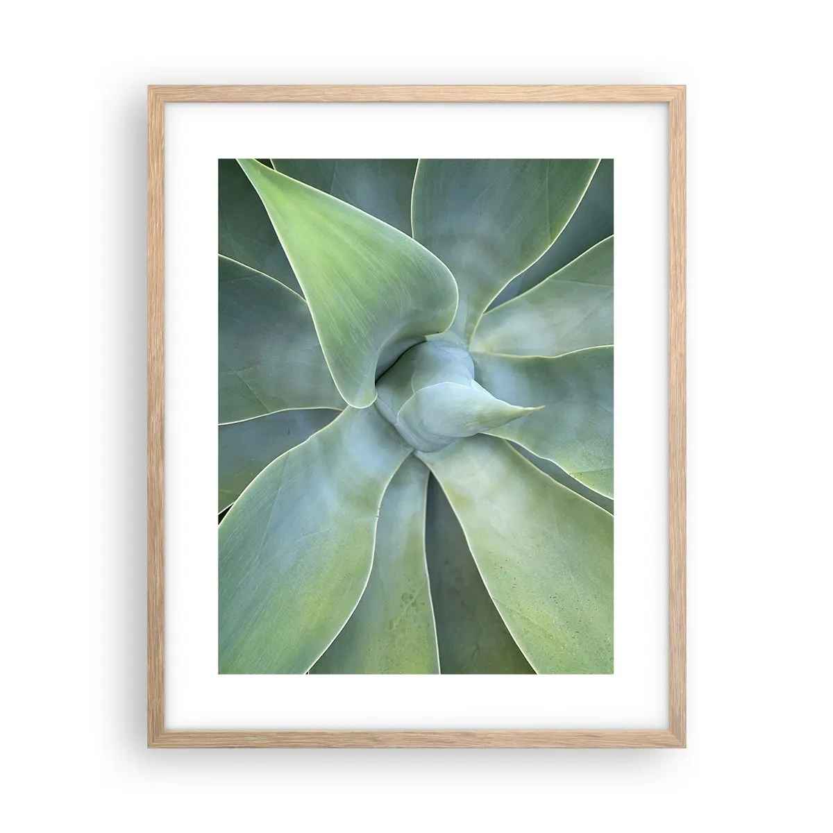 Plagát v ráme zo svetlého duba - Zrodenie zelene - 40x50 cm