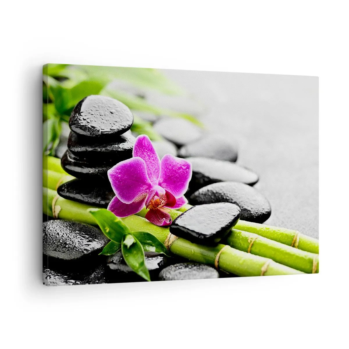 Obraz na plátne - Fialová orchidea, čierne kamene a bambus v pokojnej kompozícii - 70x50cm - V pokojnej rovnováhe - Moderná nástenná dekorácia do obývacej izby a spálne ARTTOR