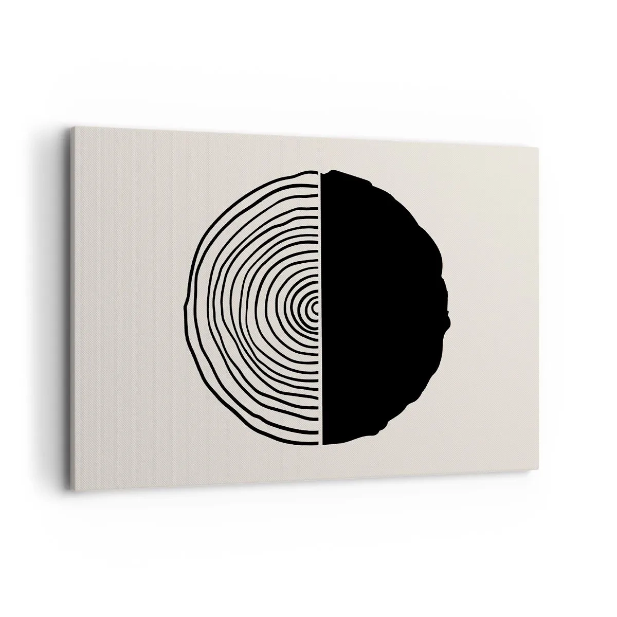 Obraz na plátne - Pol na pol - 100x70 cm