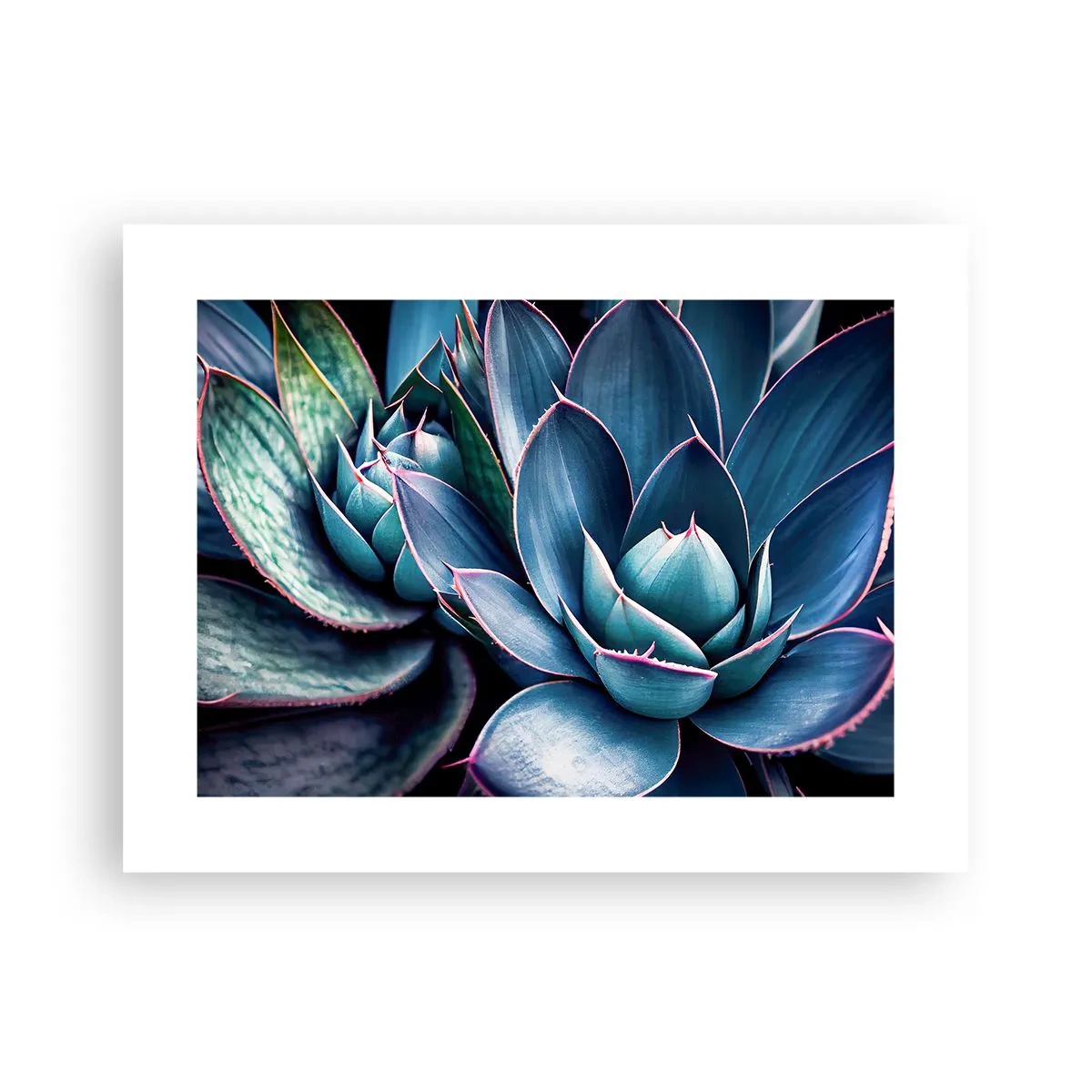 Plagát - Vitálna sila - 40x30 cm