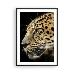 Plagát v čiernom ráme - Profil leoparda na tmavom pozadí - 50x70cm - Pokojný, sústredený, pripravený - Moderná nástenná dekorácia do obývacej izby a spálne ARTTOR