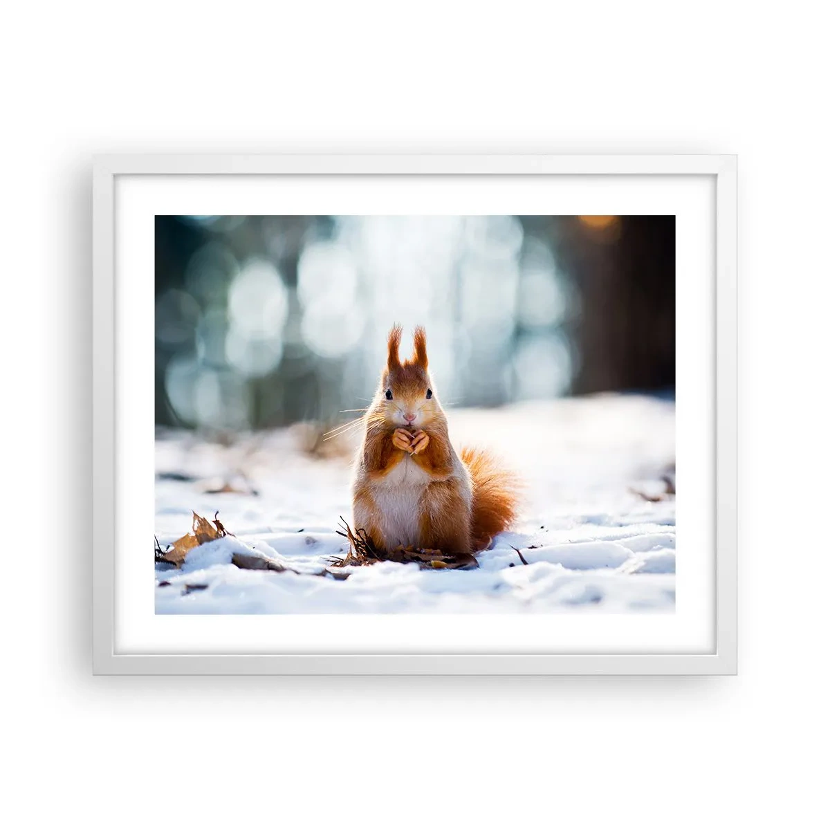 Plagát v bielom ráme - Čo sa tak pozeráš? - 50x40 cm