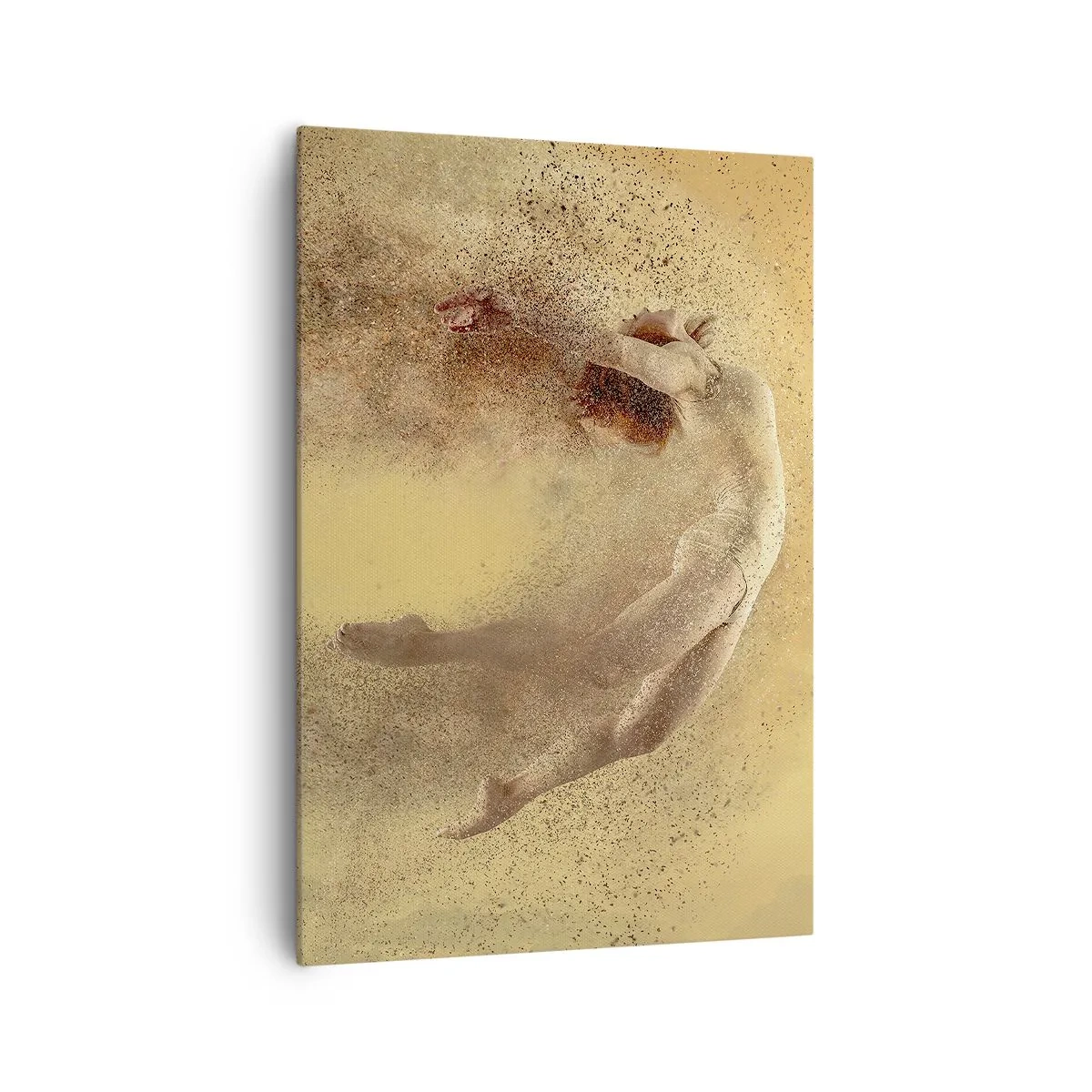 Obraz na plátne - V tanečnom vytržení - 70x100 cm