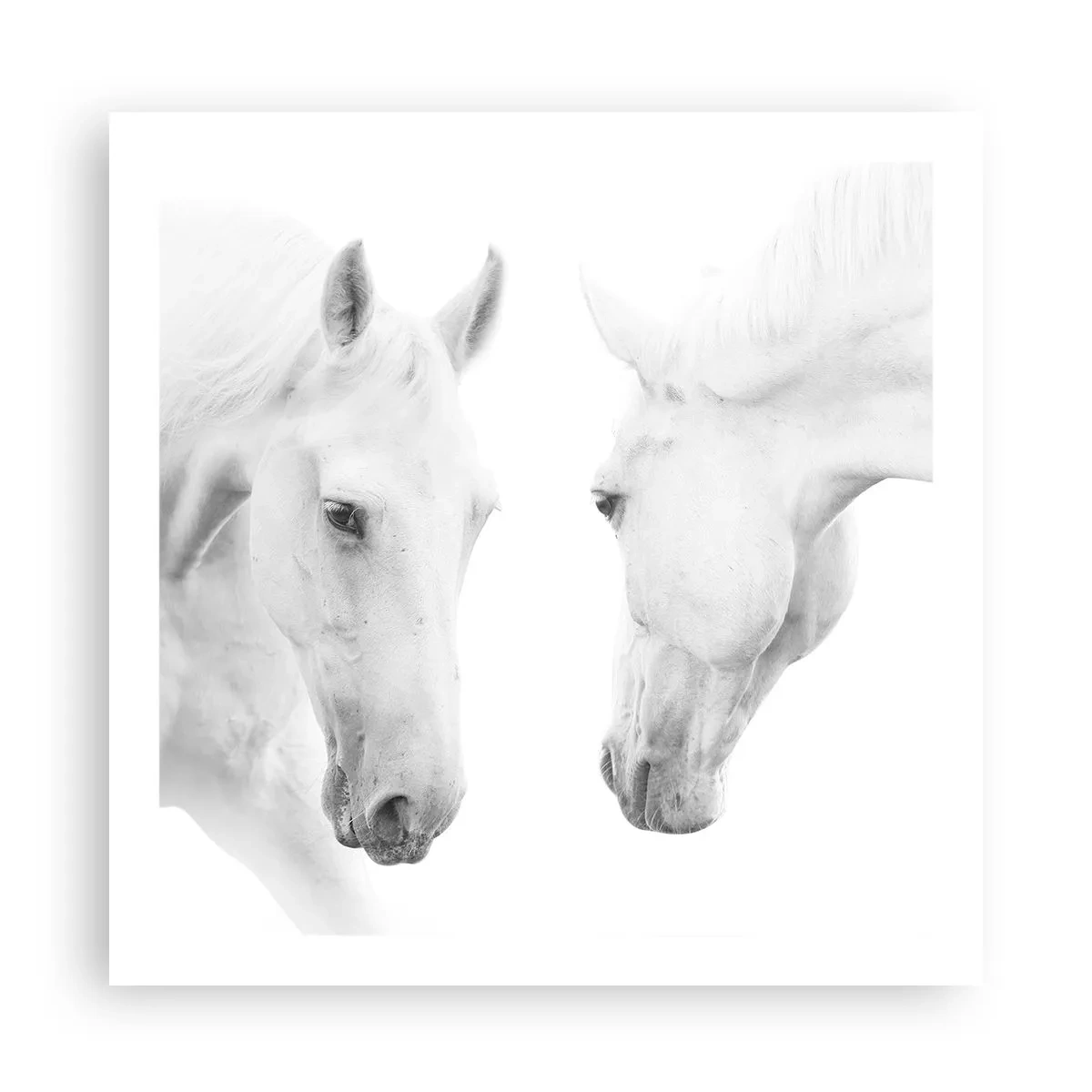 Plagát - Je to priateľstvo…? - 60x60 cm