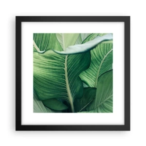 Plagát v čiernom ráme - Intenzívne zelený život - 30x30 cm