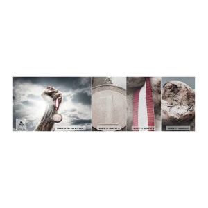 Vzorka fototapety Premium Sand - Per aspera ad astra - Šport, Športová medaila, 3D - 100x30 cm