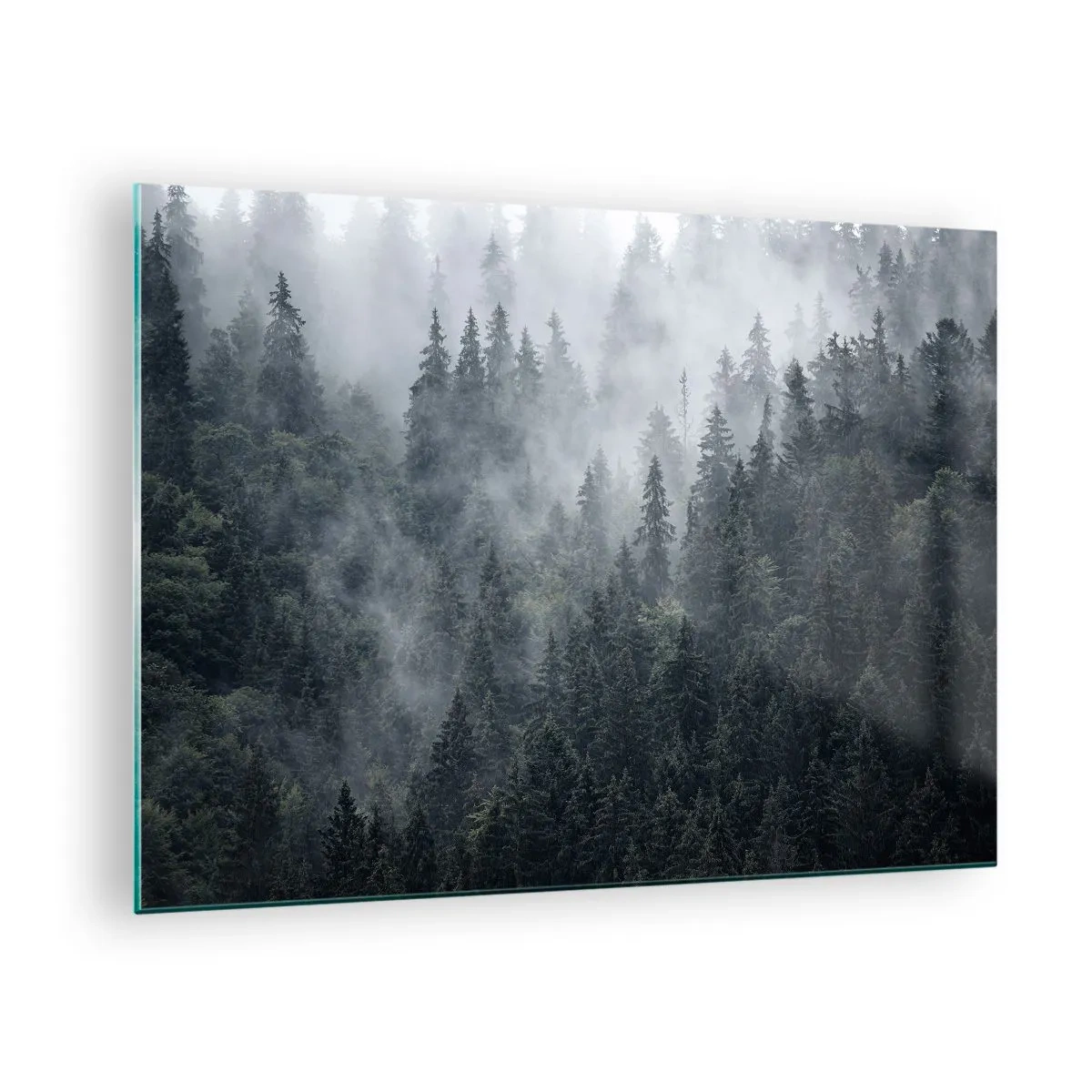 Obraz na skle - Hmla visí nad hustým ihličnatým lesom ráno - 70x50cm - Lesné svitania - Moderná nástenná dekorácia do obývacej izby a spálne ARTTOR