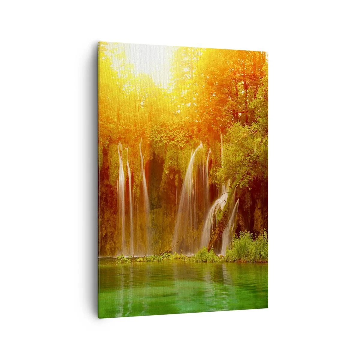 Obraz na plátne - Na slnku a v tieni - 70x100 cm