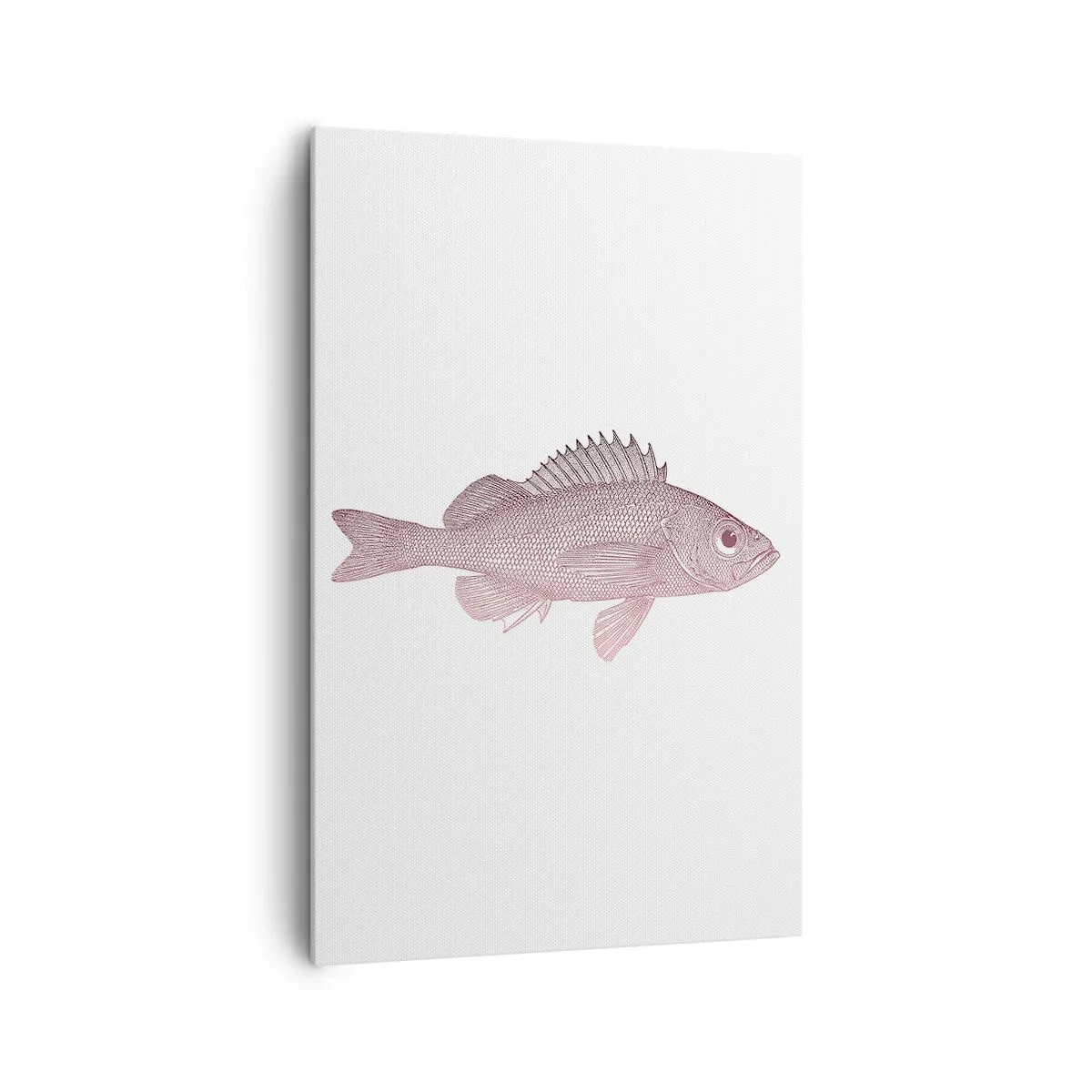 Obraz na plátne - Ryba s veľkými očami - 80x120 cm