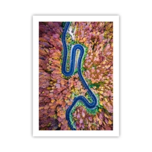 Plagát - Kľukatá cesta lesom - 50x70 cm