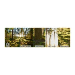 Vzorka fototapety Premium Canvas - …Za siedmimi lesmi - Krajina, les, Príroda - 100x30 cm