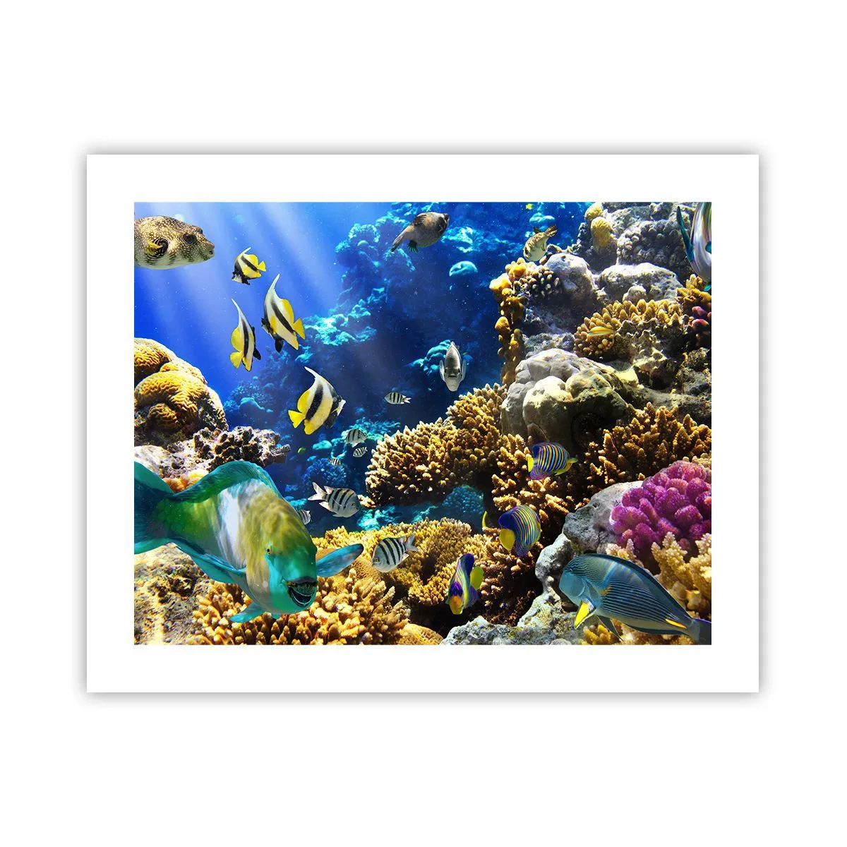 Plagát - Veľká prevádzka na prázdninovom chodníku - 50x40 cm