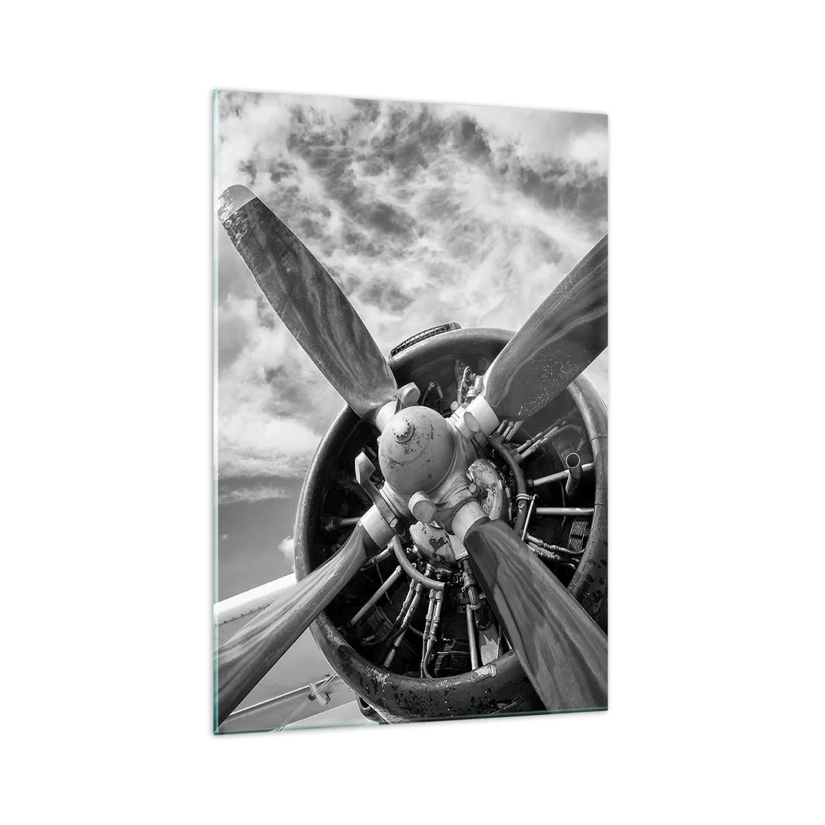 Obraz na skle - Dobyvateľ oblohy - 70x100 cm