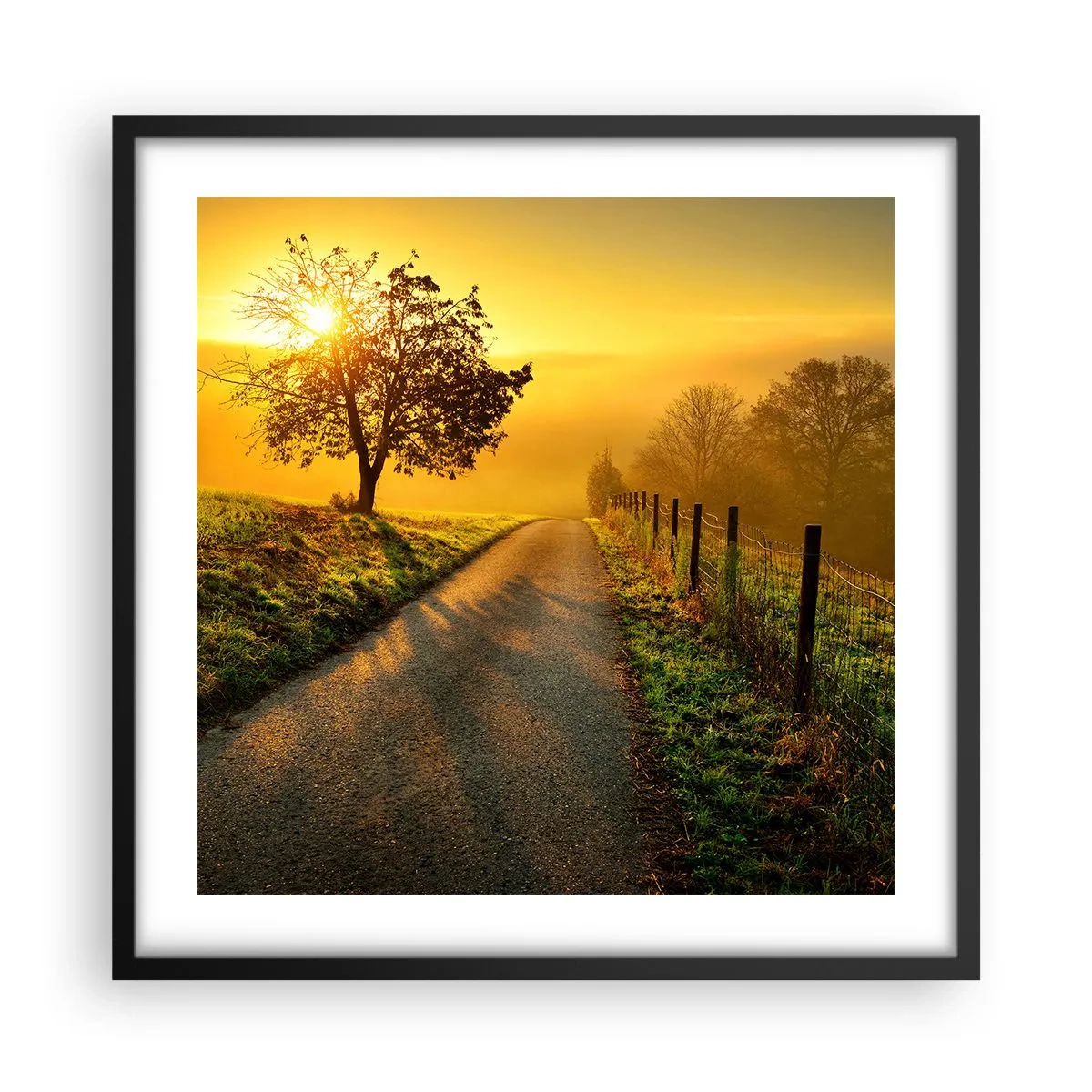 Plagát v čiernom ráme - Medové popoludnie - 50x50 cm