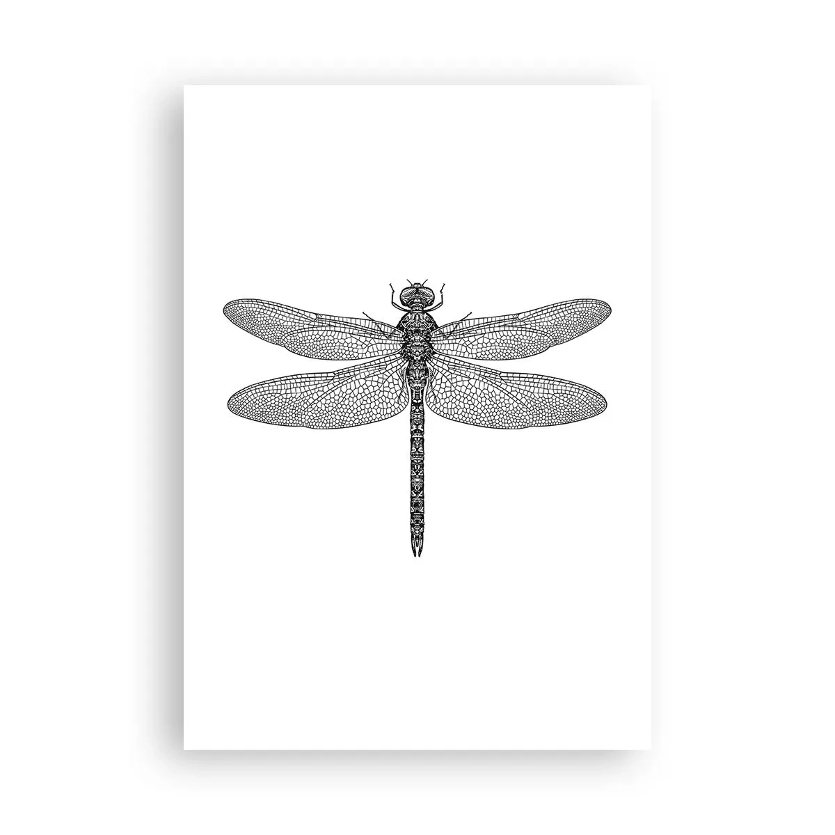 Plagát - Presnosť prírody - 70x100 cm