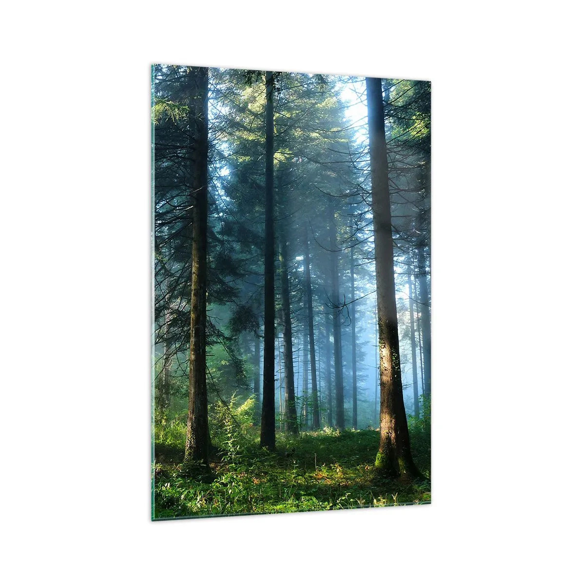 Obraz na skle - Žiariaci za úsvitu - 70x100 cm