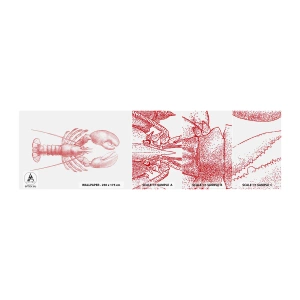 Vzorka Fototapeta Standard Eco - Homár hodný Homéra - Homár, Morské plody, Mäkkýše - 100x30 cm