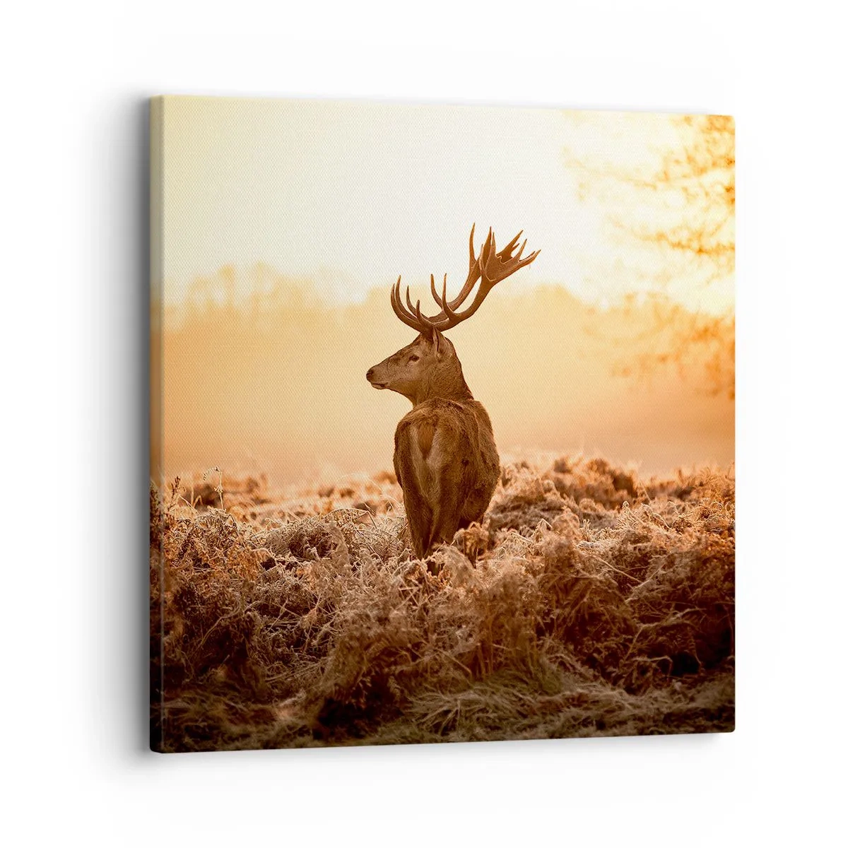 Obraz na plátne - Pán na panstve - 30x30 cm