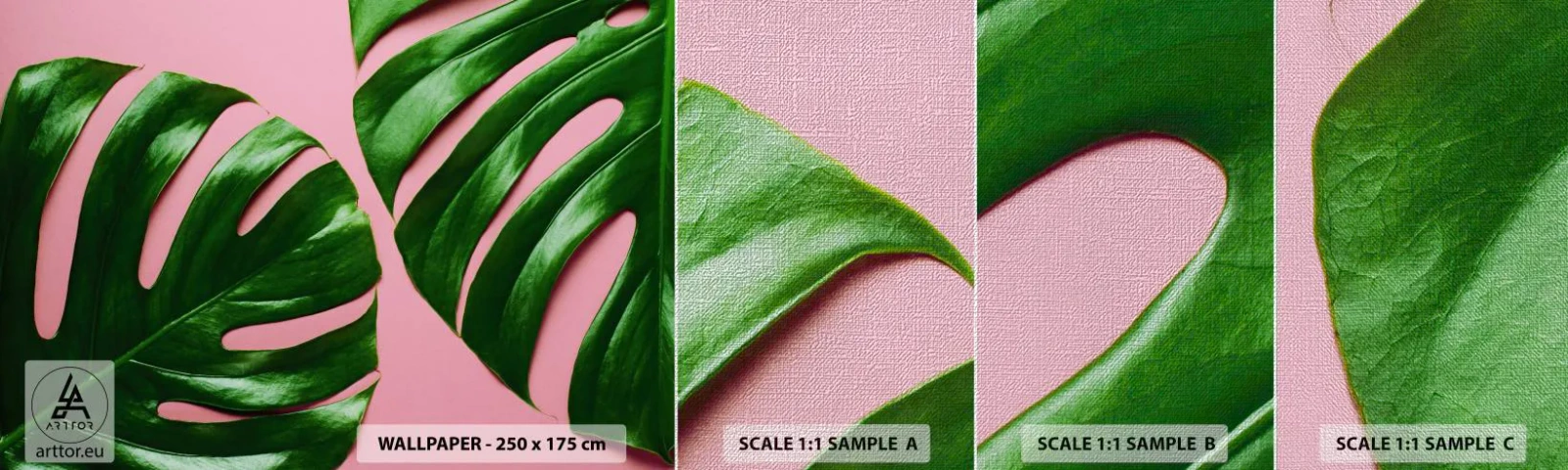 Vzorka fototapety Premium Canvas - Zelené rendez-vous - Monstera, Zelený list, Exotická rastlina - 100x30 cm