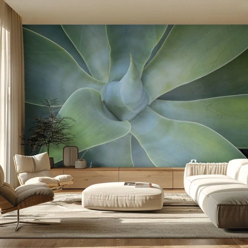 Fototapeta Standard Eco - Zrodenie zelene - Šťavnaté, Agáve, Botanika - 250x175 cm