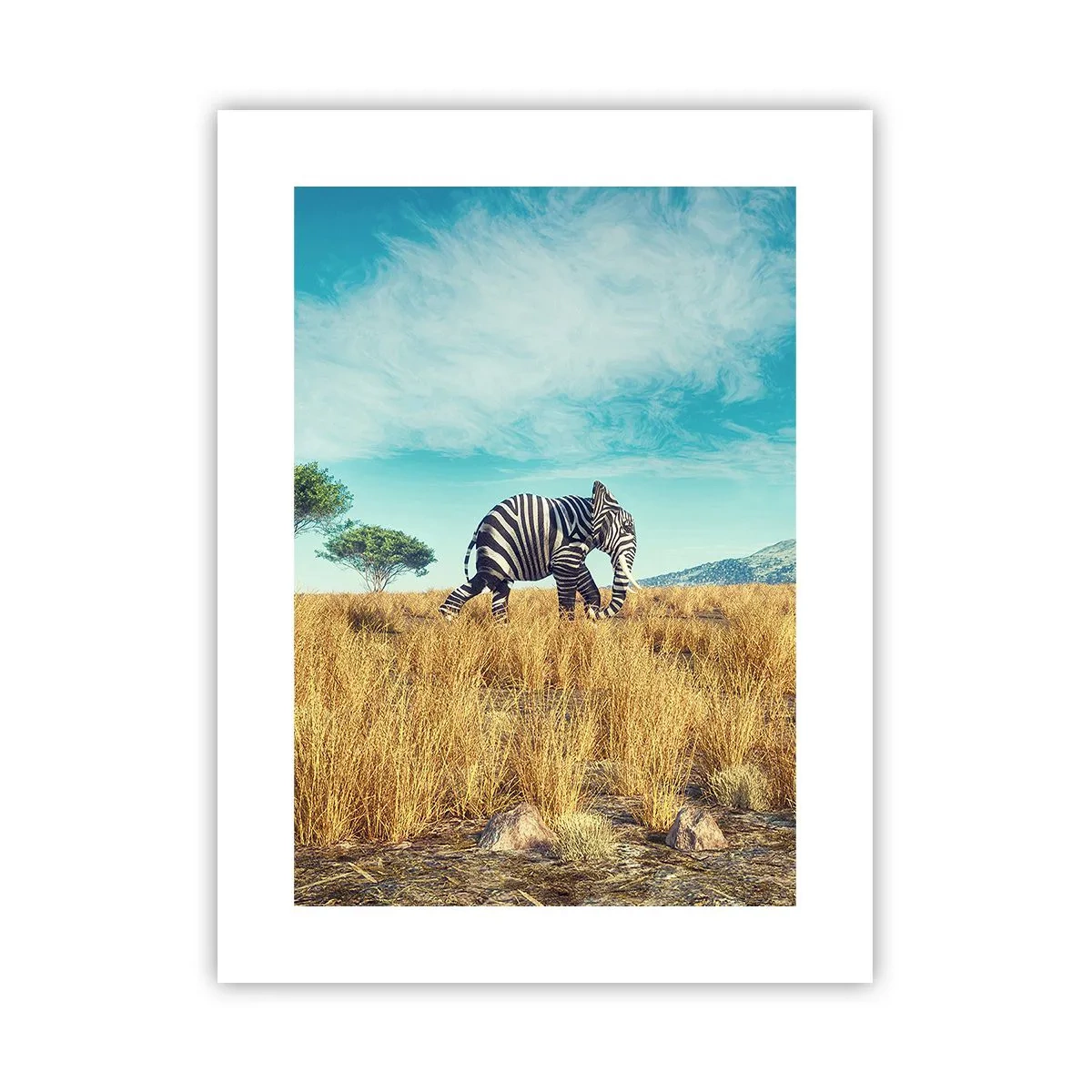 Plagát - Šedá už nie je v móde - 30x40 cm