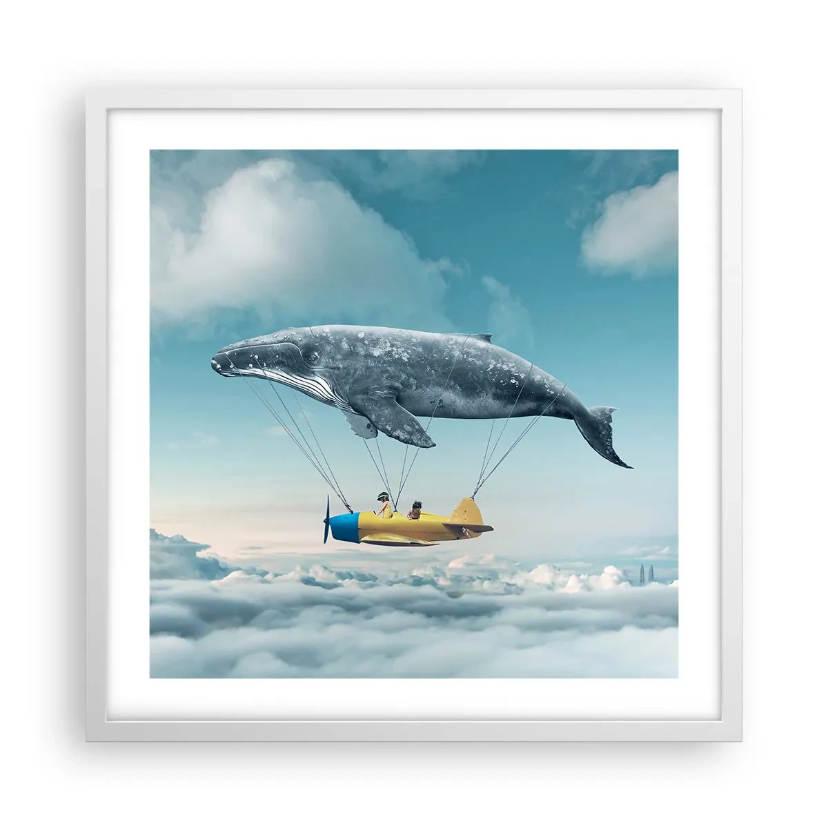 Plagát v bielom ráme - Prečo by nie? - 50x50 cm