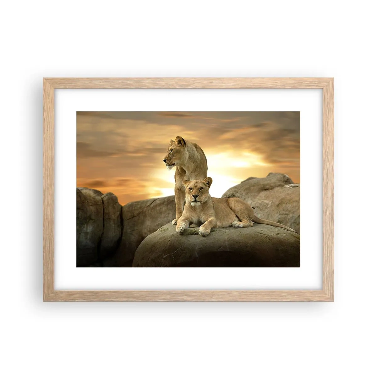 Plagát v ráme zo svetlého duba - Kráľovský majestát - 40x30 cm