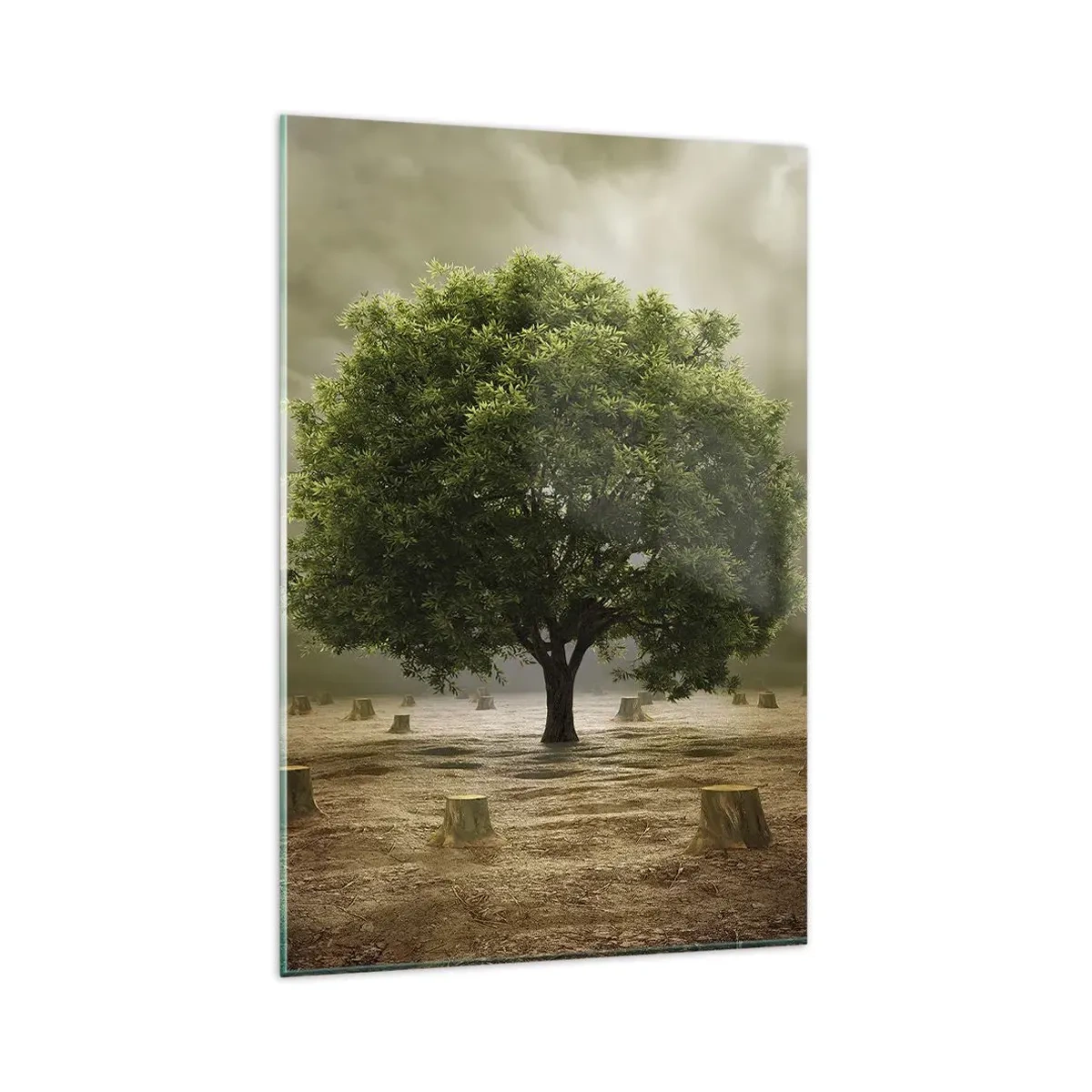 Obraz na skle - Celá nádej - 80x120 cm