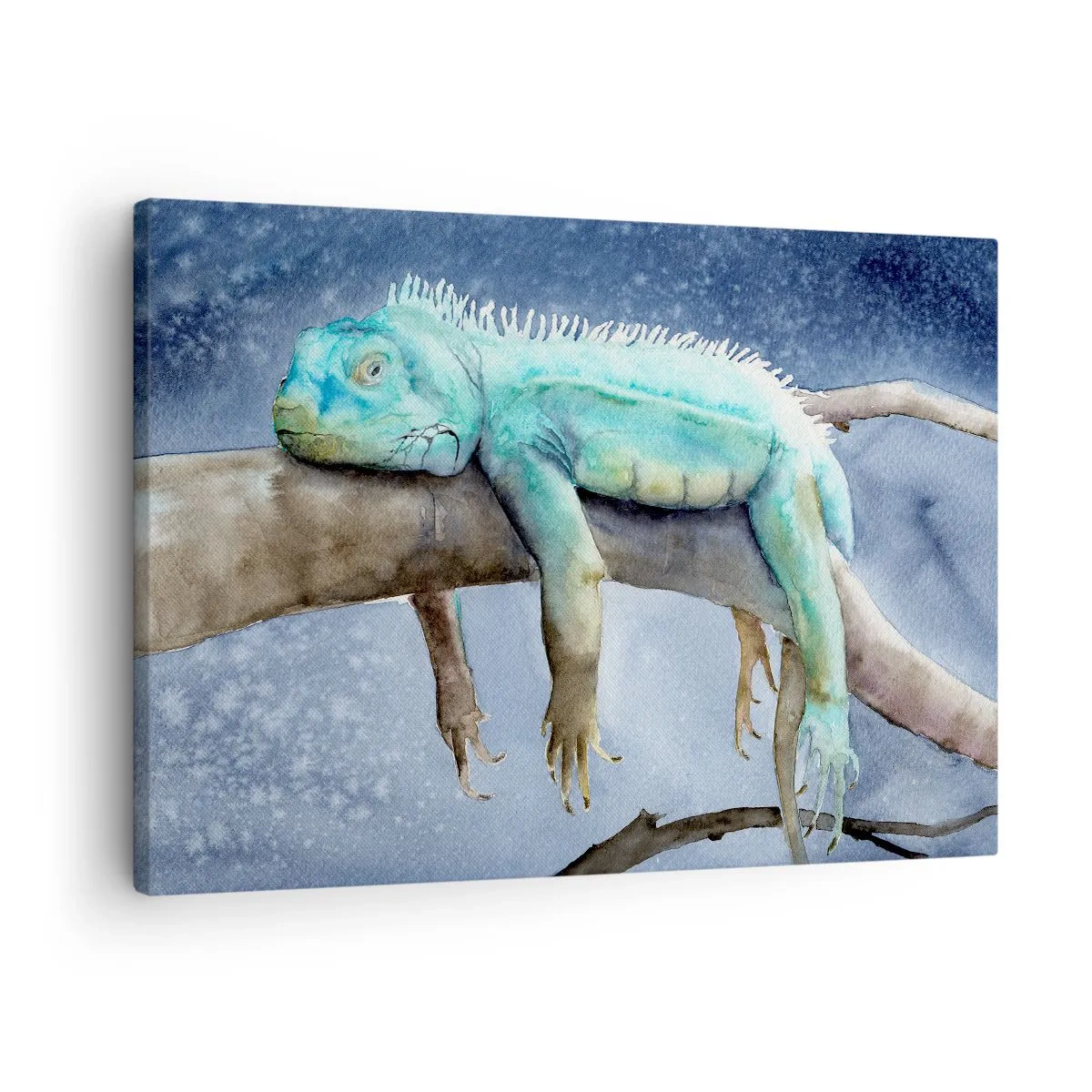 Obraz na plátne - Modrý leguán odpočívajúci na konári - 70x50cm - Je fajn! - Moderná nástenná dekorácia do obývacej izby a spálne ARTTOR