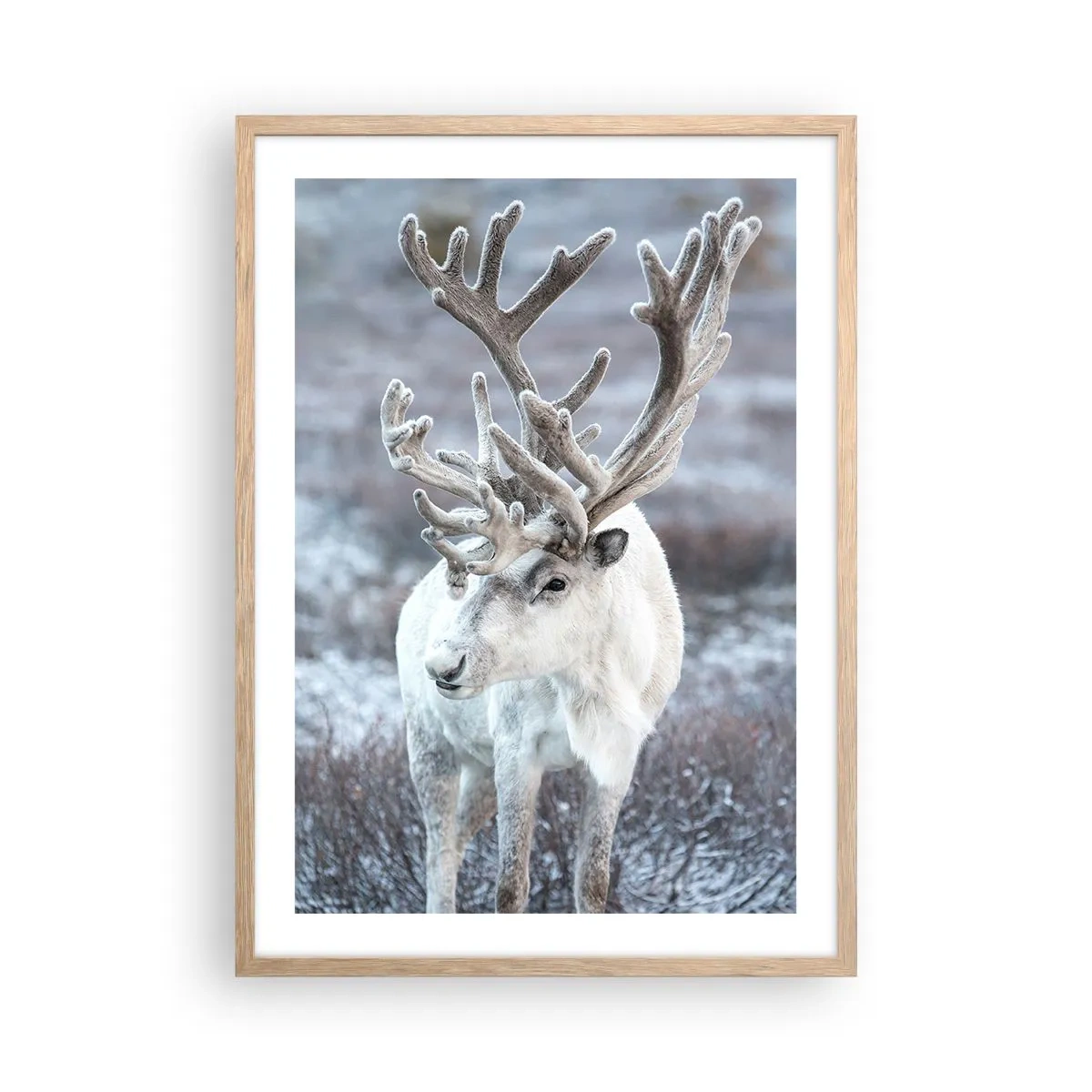 Plagát v ráme zo svetlého duba - Slnečný portrét - 50x70 cm