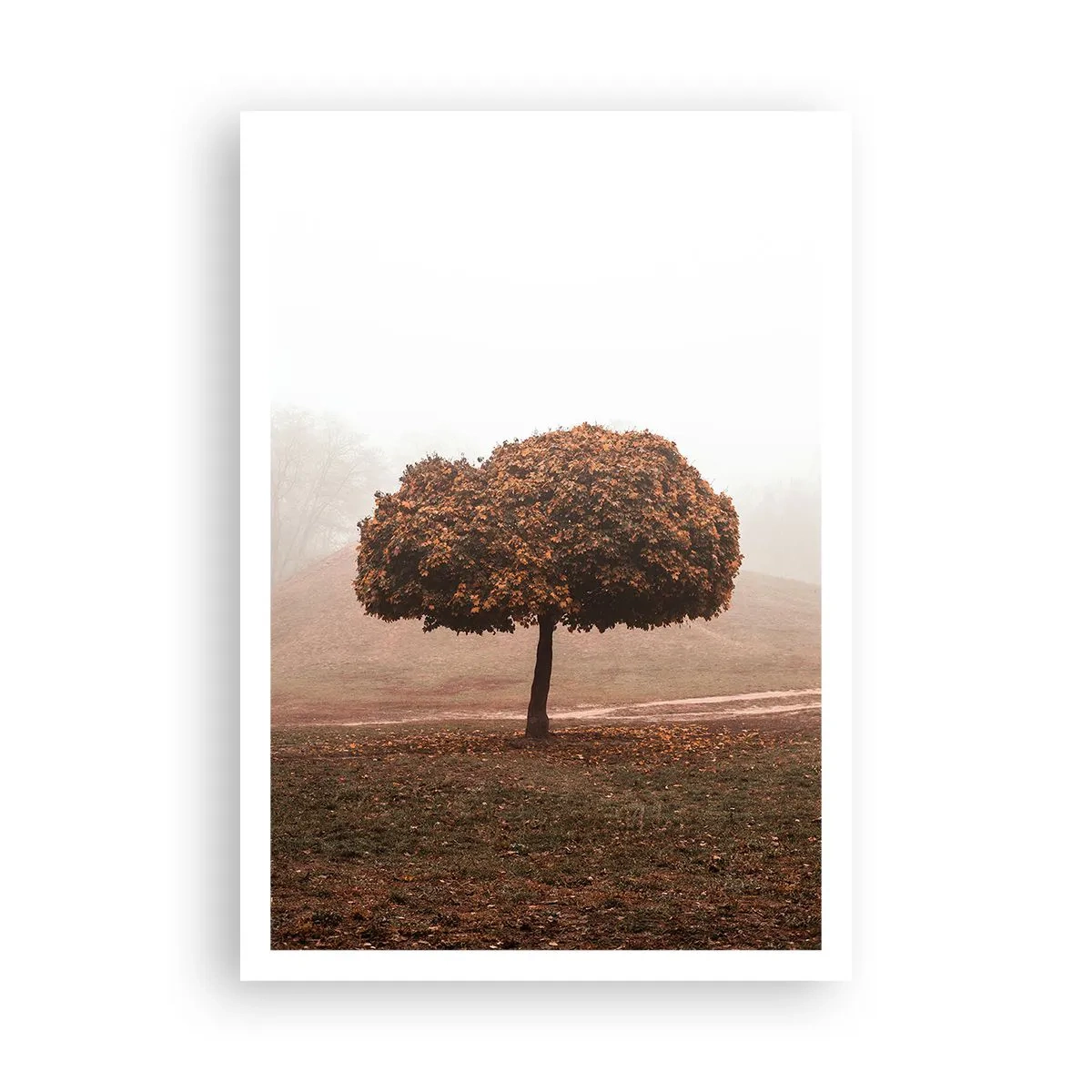 Plagát - Po rušnom lete - 70x100 cm