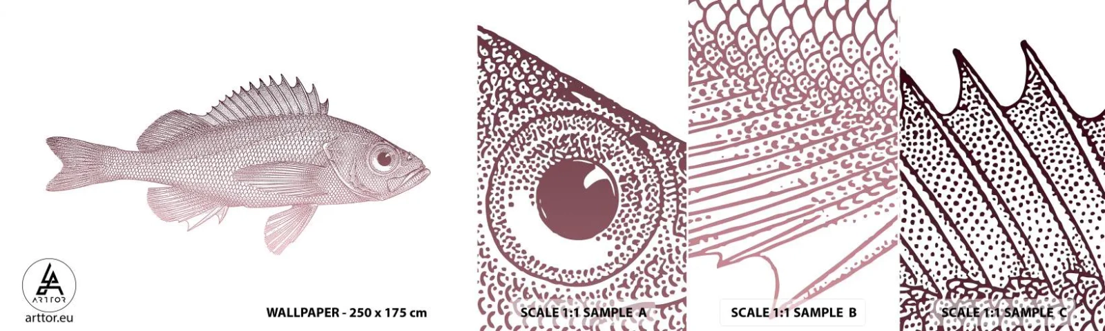 Vzorka samolepiacej fototapety Deluxe Sticker - Ryba s veľkými očami - Ryby, Pod vodou, Minimalistický - 100x30 cm