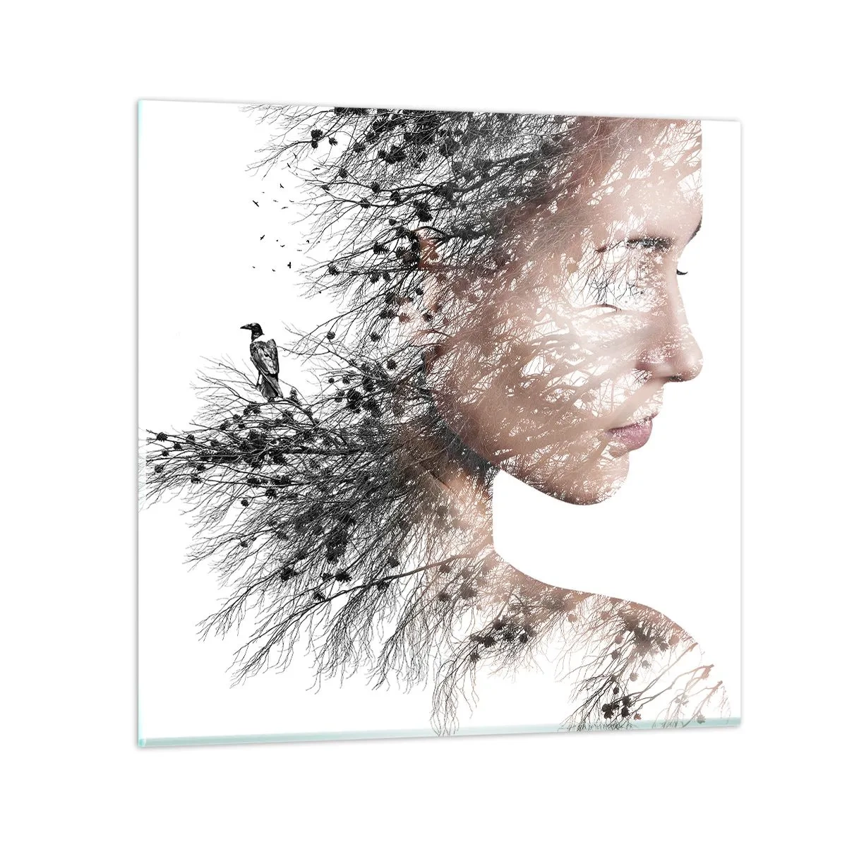 Obraz na skle - Duch lesa - 70x70 cm