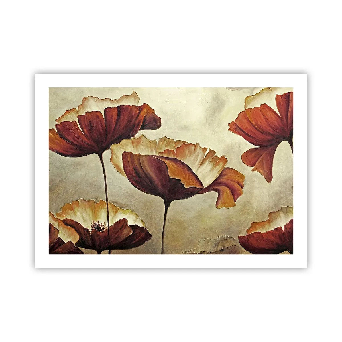 Plagát - Lán lúky - 70x50 cm