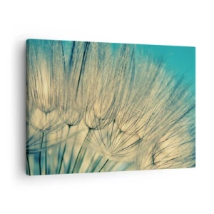 Obraz na plátne - Makrofotografia púpav za denného svetla - 70x50cm - Čakanie na vietor - Moderná nástenná dekorácia do obývacej izby a spálne ARTTOR