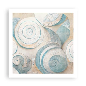 Plagát - Čo skrýva mušľa? - 60x60 cm