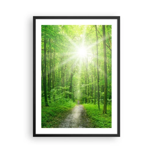 Plagát v čiernom ráme - Lesná cesta osvetlená slnečnými lúčmi - 50x70cm - Zelená katedrála - Moderná nástenná dekorácia do obývacej izby a spálne ARTTOR