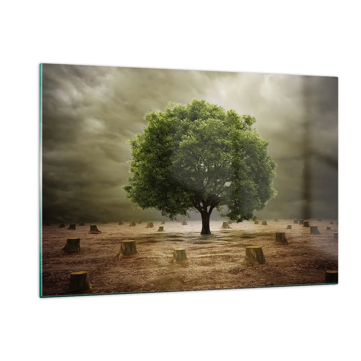Obraz na skle - Celá nádej - 120x80 cm