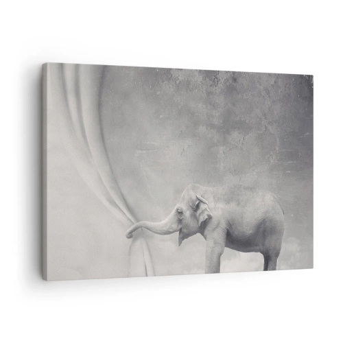 Obraz na plátne - Slon odťahujúci záves v surrealistickom čiernobielom zábere - 70x50cm - Odhaliť tajomstvo - Moderná nástenná dekorácia do obývacej izby a spálne ARTTOR