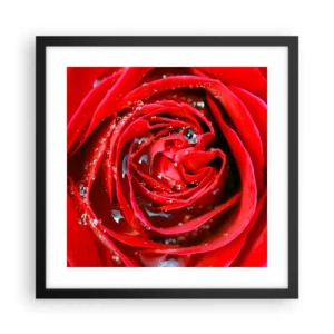 Plagát v čiernom ráme - V kvapkách rosy - 40x40 cm