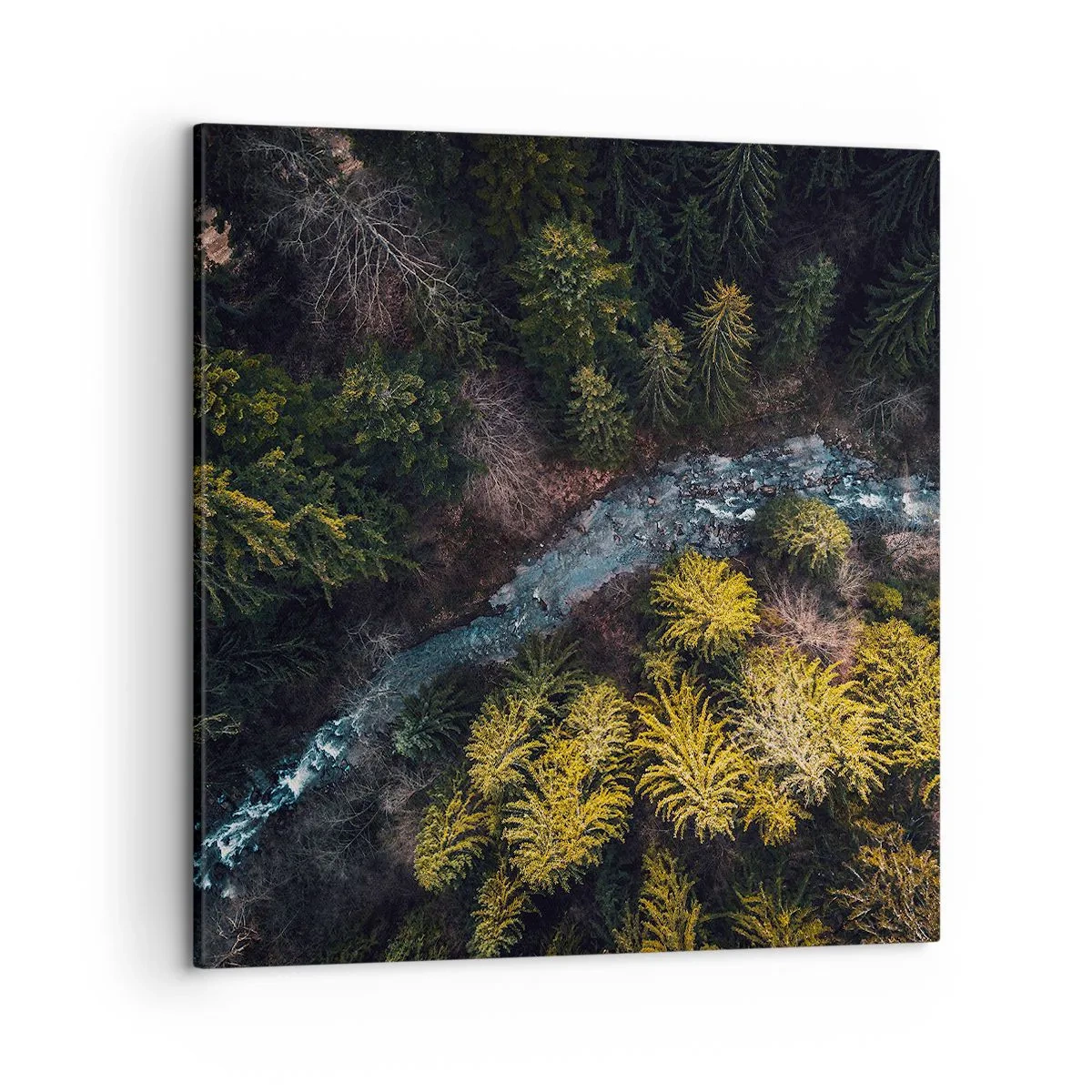 Obraz na plátne - Rýchlo, stále rýchlejšie - 50x50 cm