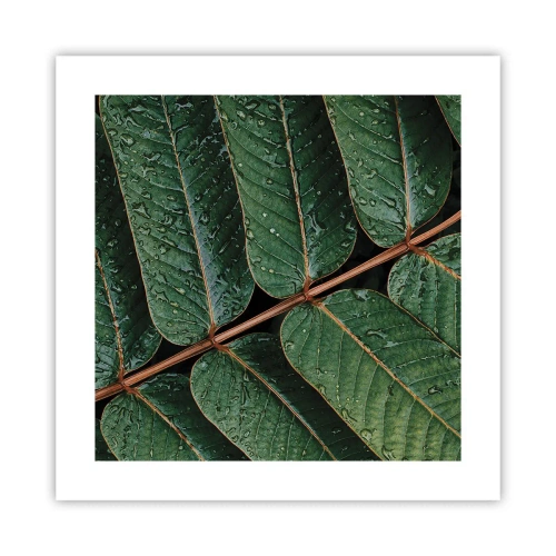 Plagát - V zelenom rytme - 40x40 cm