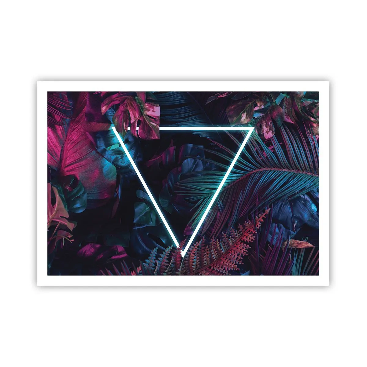 Plagát - Záhrada v disco štýle - 100x70 cm
